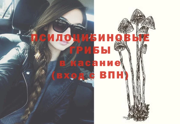 гидра Армянск