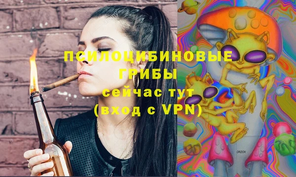 мдпв Арсеньев